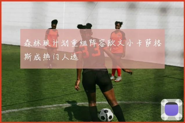 森林狼计划重组阵容欧文小卡萨格斯成热门人选