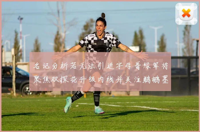 名记分析若无法引进字母哥绿军将聚焦双探花升级内线并关注鹈鹕墨菲